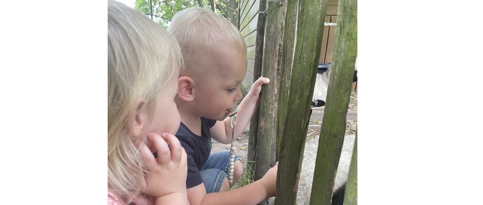 Geld inzamelen | Help! Gezin wordt dakloos! | Doneeractie