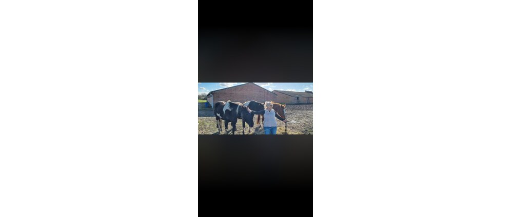 Geld inzamelen | Paarden verzorgen | Doneeractie