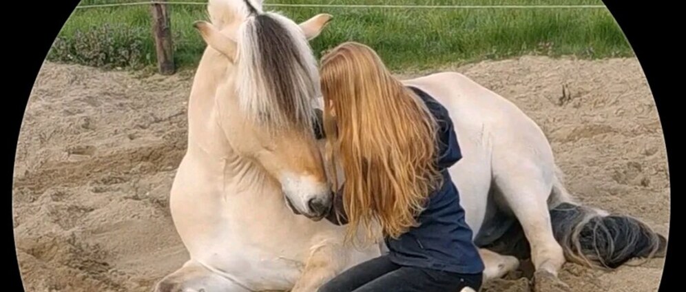 Geld inzamelen | SPOED Help mee aan een waardig afscheid crematie voor Shilar, het paard van Nienke | Doneeractie