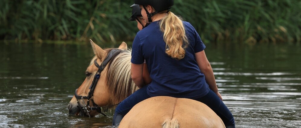 Geld inzamelen | Operatie van onze lieve Flame | Doneeractie