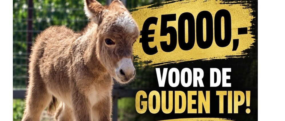 Gouden tip bedrag wie heeft Pleuntje gedood?! | Geld inzamelen