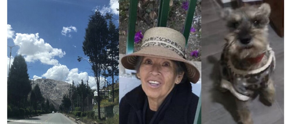 Geld inzamelen | Help mijn moeder in Peru weer lopen zonder pijn | Doneeractie