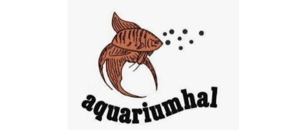 Geld inzamelen | Aquarium Jeanine | Doneeractie