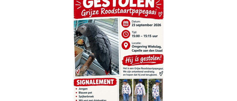 Geld inzamelen | Een nieuwe vogel voor me vriendin | Doneeractie