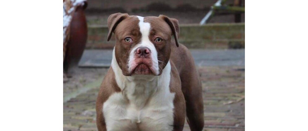 Geld inzamelen | Meacy | Doneeractie