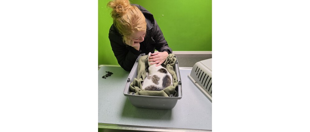 Geld inzamelen | Help Luna weer op haar pootjes. | Doneeractie