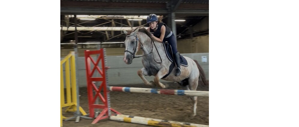 Geld inzamelen | Een paard | Doneeractie