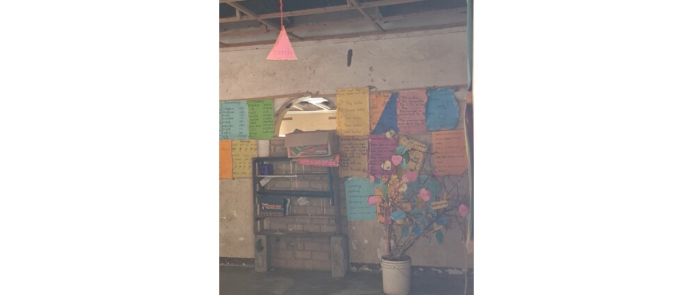 Geld inzamelen | Nswala Primary School Zimbabwe Computers | Doneeractie