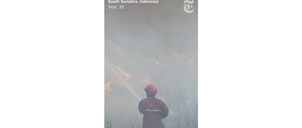 Geld inzamelen | Stop the wildfire for Indonesië | Doneeractie
